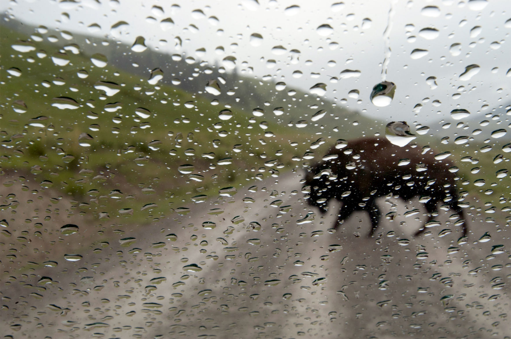 Rain on the range